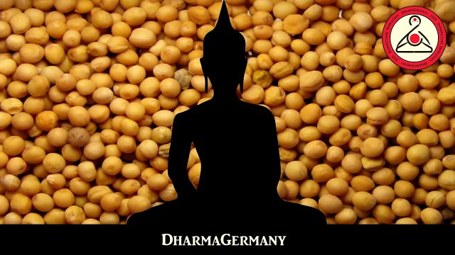 Was ist Buddhismus - Die Geschichte von Gotami und dem Senfkorn
