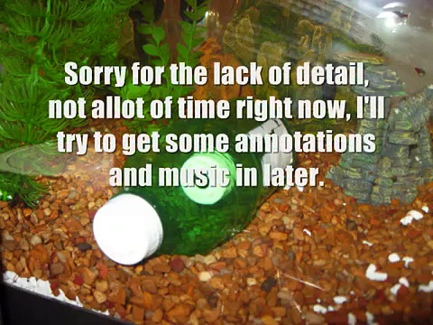 Custom Made Guppy Fry Trap