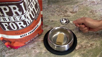How to Feed Primal Freeze-Dried Formula