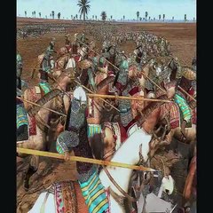 صفين: لحظات لا تُنسى من عيونكم 👀