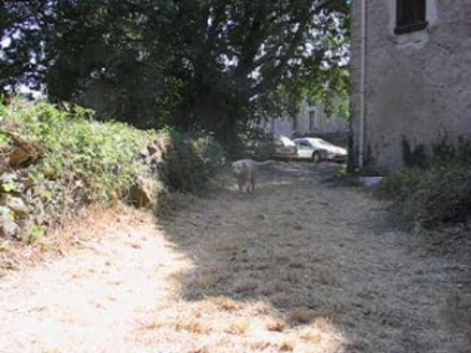 Plus haut