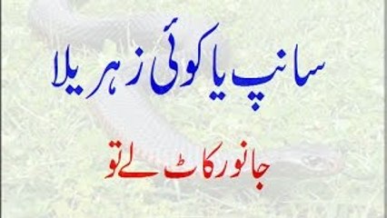 Saanp Ya Koi Zehreela Janwar Kaat Lay To