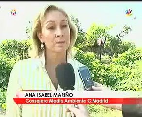 En el Hospital Ramón y Cajal existen mediadores interculturales