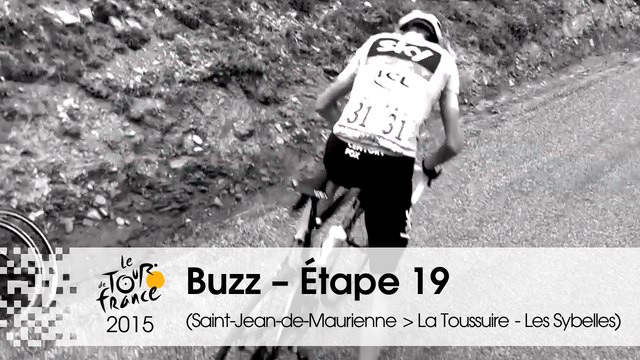 Buzz du jour / Buzz of the day - Étape 19 (Saint-Jean-de-Maurienne > La Toussuire - Les Sybelles) - Tour de France 2015