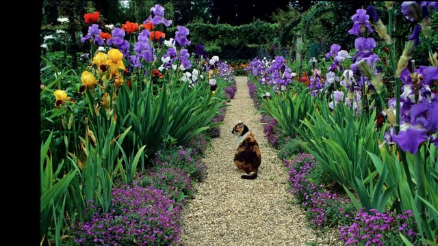 Moutiers Sainte Marie Village Alpes Haute Provence