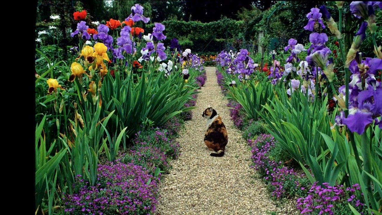 Moutiers Sainte Marie Village Alpes Haute Provence