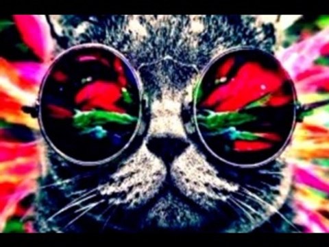 Deep Summer [Dj Catan Track]