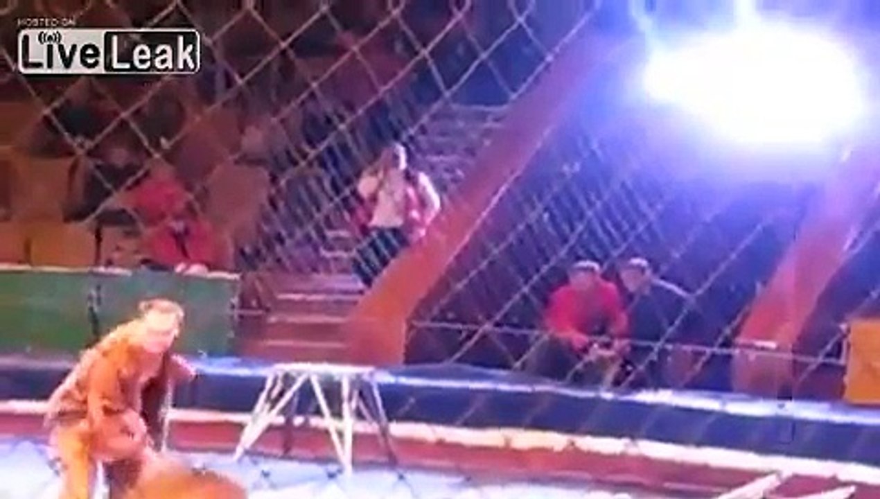 The Lviv lion attack on slightly underwhelming lion tamer Oleksie Pinko