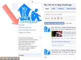 How to Place a Paypal Donate Button on your Facebook Page