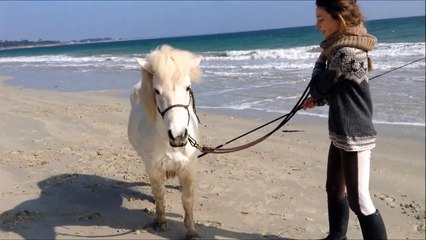 Grande Marée avec Opalou - mars 2015