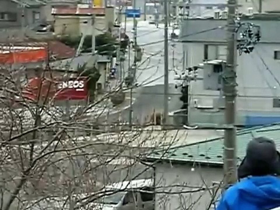 【東日本大震災】宮城県石巻市の集落を押し流す津波【2011 japan TSUNAMI】