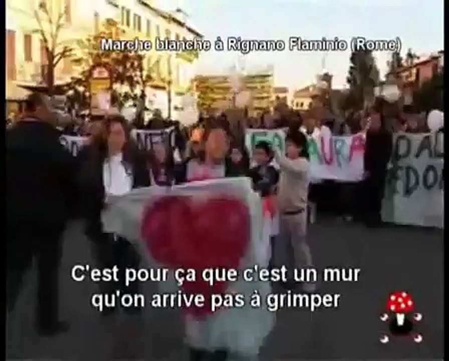 tribunal de monstre (VIDEO 1 sur 3) / AFFAIRE MAOLONI-ANTONINI