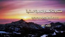 بيان حال الشعراوي للشيخ العلامة الدكتور محمد سعيد رسلان