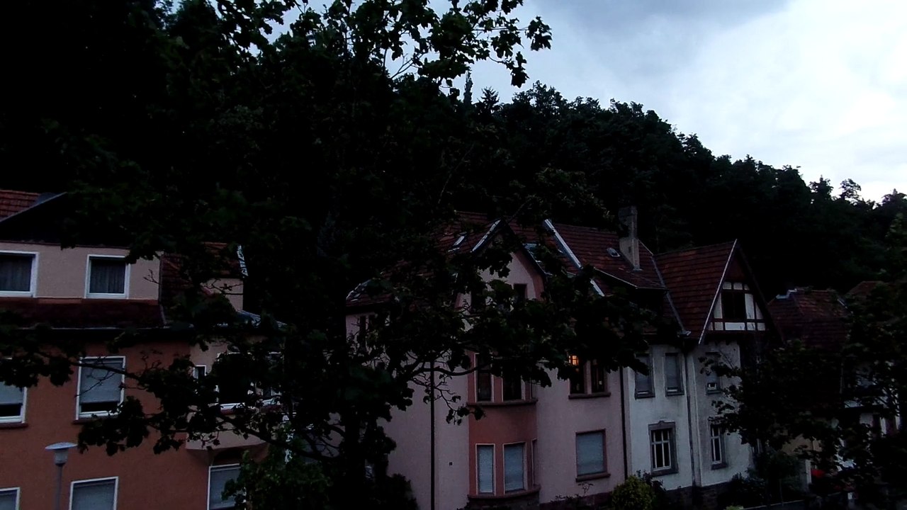 Sauwetter?