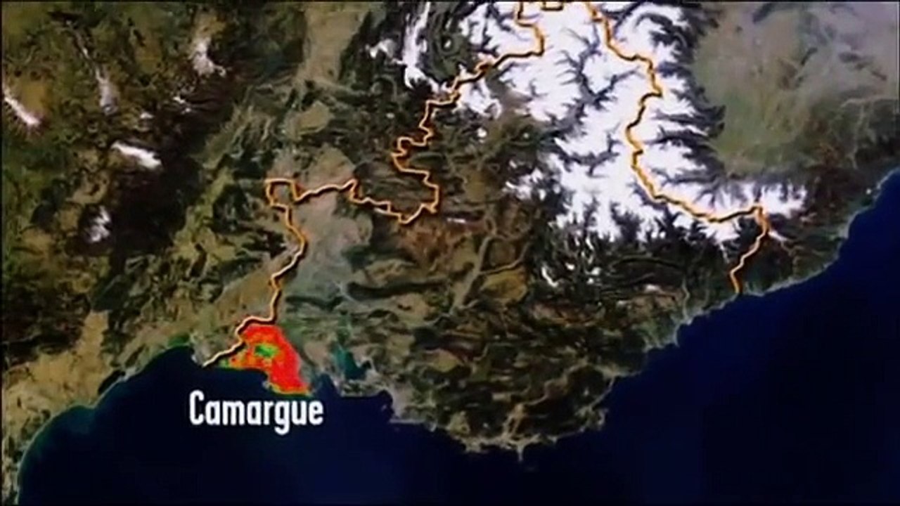 La Camargue menacée par la montée des eaux