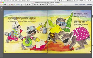 Little Raccoon Goes to the Beach (read aloud)