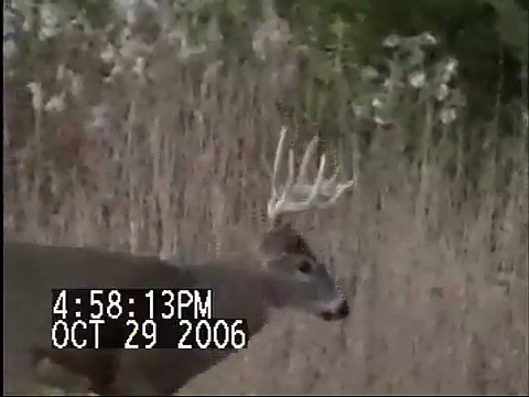 Deer Hunting Video