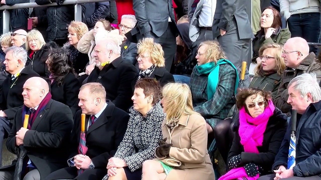 Welsh Guards St David's Day Parade Cardiff 2015