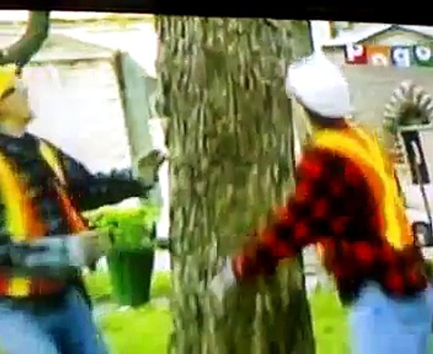 pogo