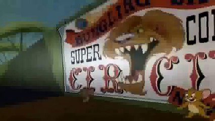 Tom And Jerry Cartoon Best Classic Collection NEW