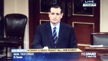 Ted Cruz calls Mitch McConnell a liar (SHORT VERSION)