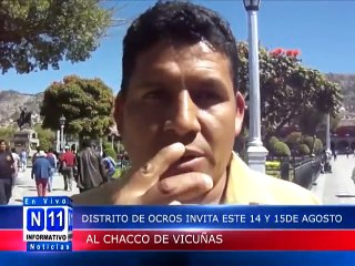 N11 Informativo DISTRITO DE OCROS INVITA ESTE 14 Y 15 DE AGOSTO AL CHACCO DE VICUÑA