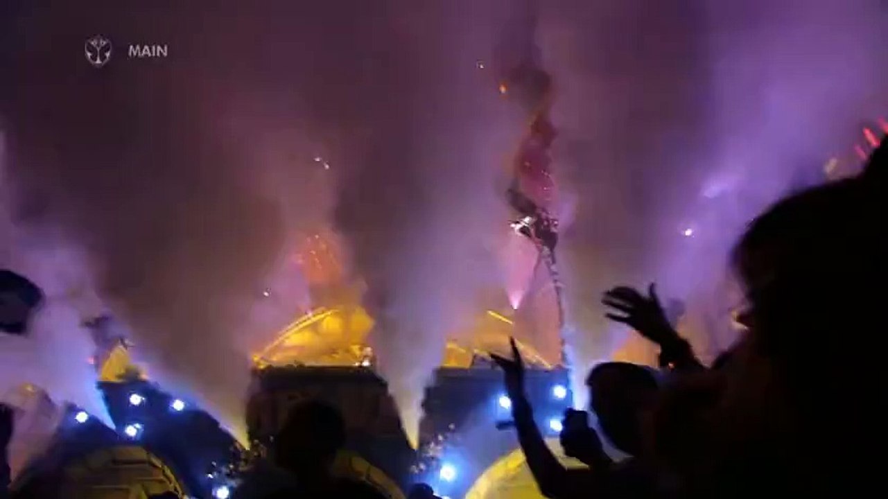 Tomorrowland 2015 | Steve Aoki | Mainstage
