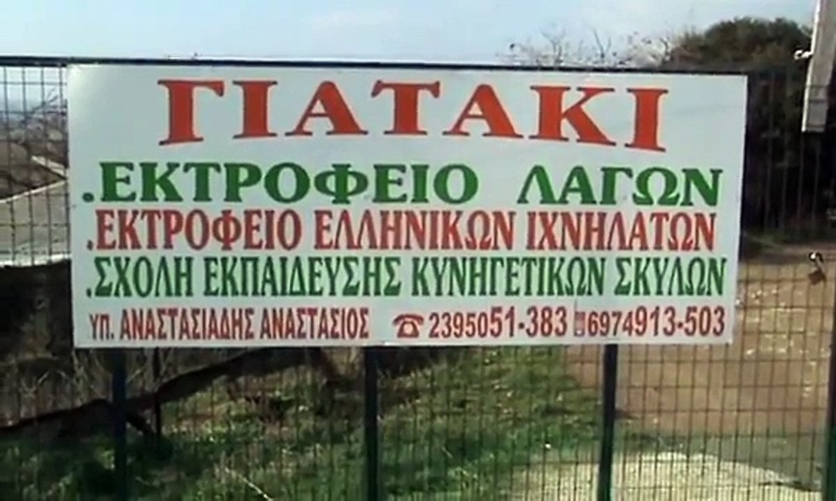 ΕΛΛΗΝΙΚΟΙ ΙΧΝΗΛΑΤΕΣ ΜΕΡΟΣ 1 - ΓΙΑΤΑΚΙ ΑΥΓΗΣ.wmv