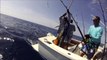 Yellowfin Tuna fishing Cabo San Lucas with Renegademike sportfishing