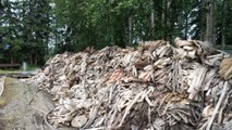 The mountains of hoses that have been used to fight fires in Alaska