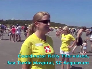 'Winwah' Kemp's Ridley Sea Turtle Release