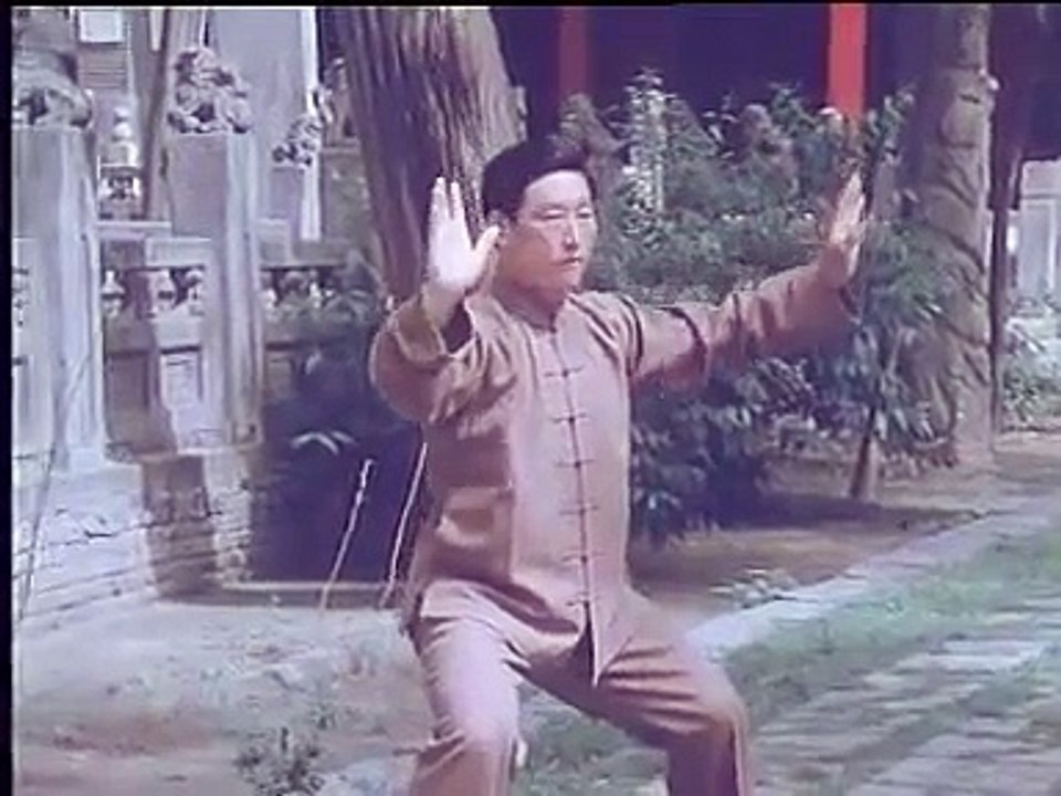 Chen Taiji (Chen Xiaowang)