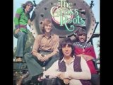 THE GRASS ROOTS- 