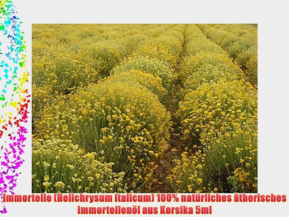 Immortelle (Helichrysum italicum) 100% nat?rliches ?therisches Immortellen?l aus Korsika 5ml