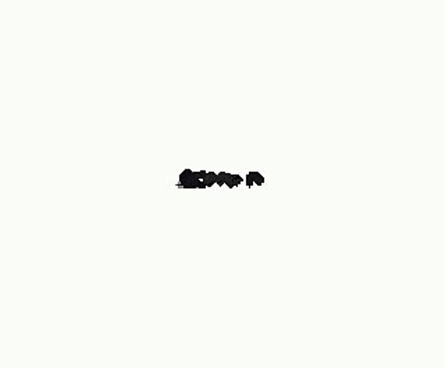 Grizzly Bear Outreach Project Promotional Video cArToOn