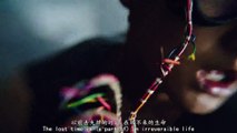 【PT韬吧】[ENG_SUB]Z.TAO-《T.A.O》MV