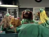 The Muppet Show: Veterinarian's Hospital Debut - Fozzie Bear