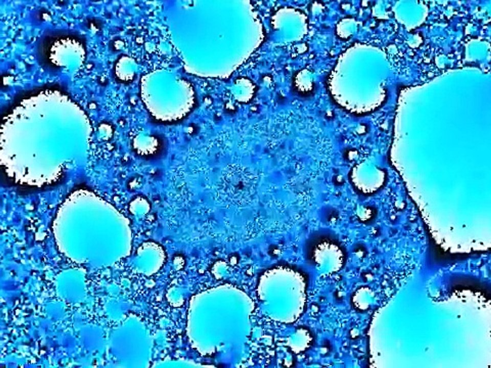 Mandelbrot fractal zoom: Blue Oyster Spiral