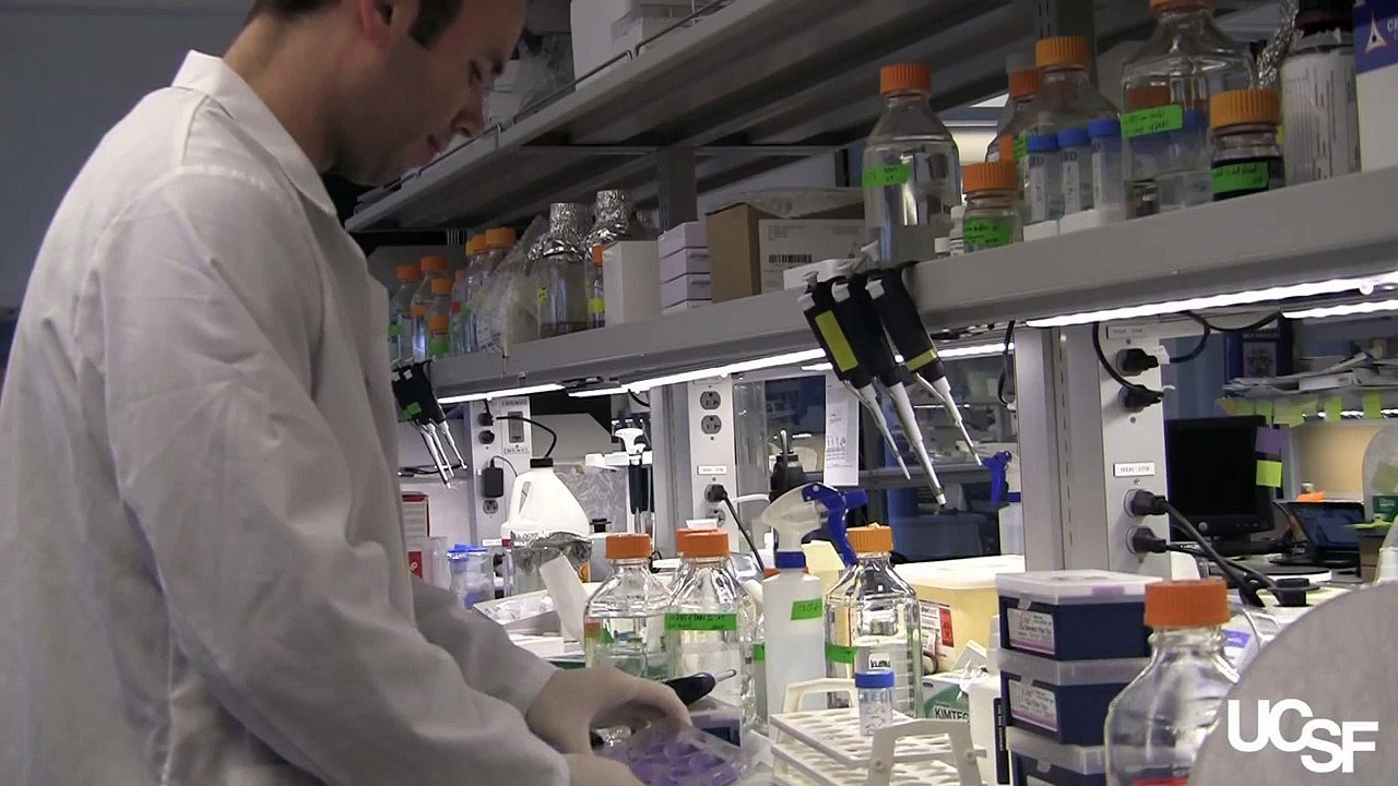 Growing New Teeth at UCSF with Ophir Klein, MD, PhD