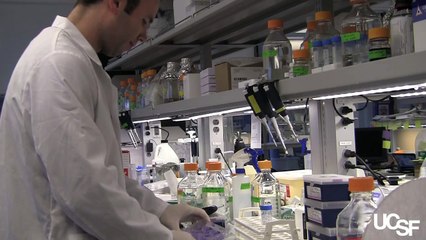 Growing New Teeth at UCSF with Ophir Klein, MD, PhD