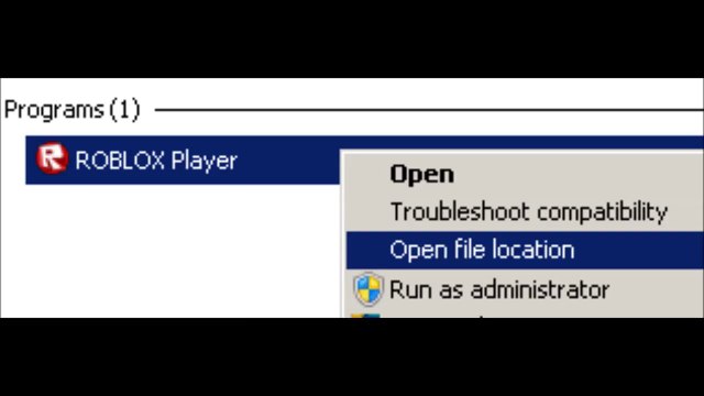 Roblox Player File