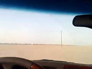 صيد الصقور صقر صيد falcon hanted bard