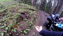 Eichhörnchen füttern / Squirrels feeding  in Arosa  - Switzerland  / Eichhörnchenwegweg Arosa