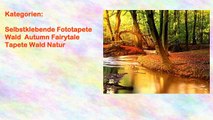 Selbstklebende Fototapete Wald Autumn Fairytale Tapete Wald Natur