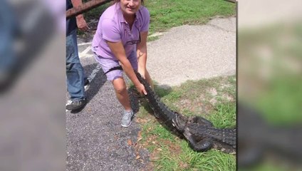 Woman thrashes alligator to save pooch, Dog owner won’t let swamp stop her from saving pet
