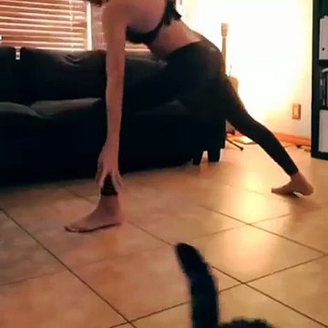 Ce chat se faufile, s'invite, vole la vedette à son maître... et c'est hilarant !