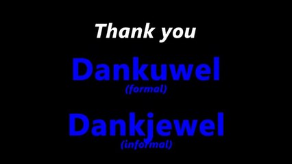 Learn Dutch - (2) Basic Expressions