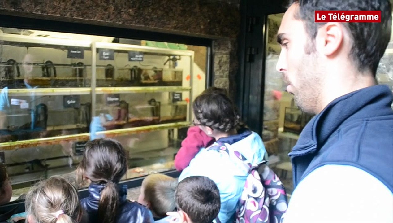 Lannion. Visages de l'été : Florian, le papa des poissons