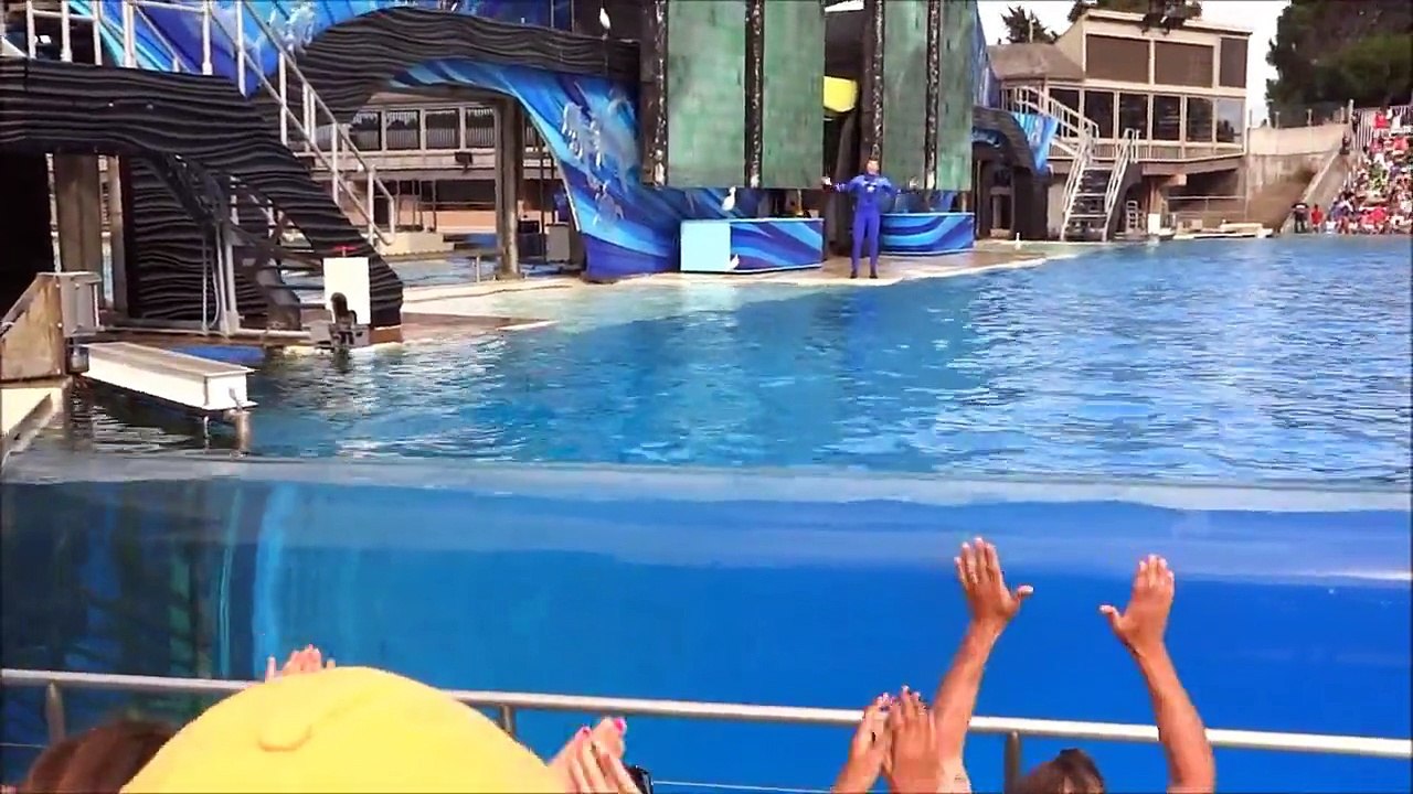 Shamu Show at Sea World San Diego July 2013 HD