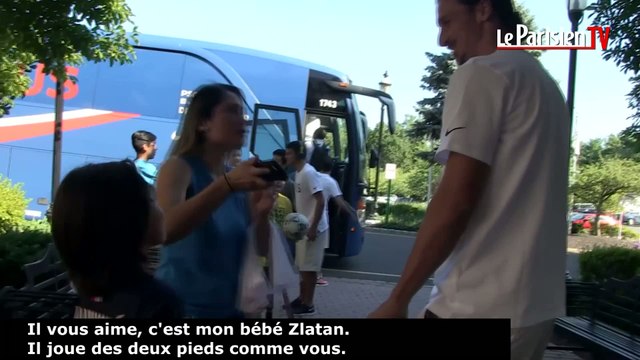 PSG : la déclaration d'une admiratrice à Zlatan Ibrahimovic